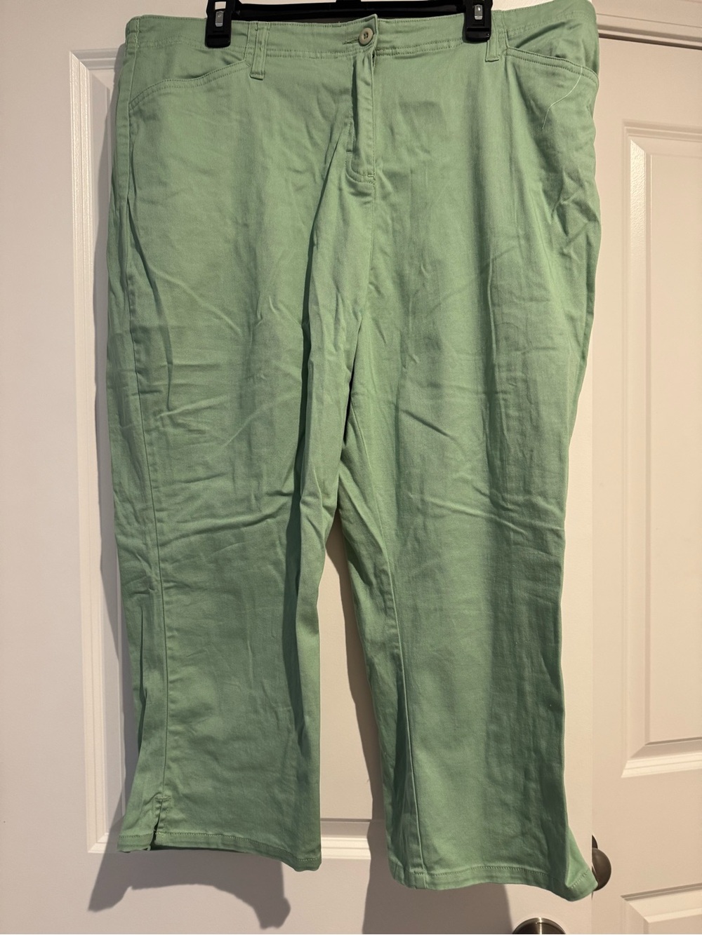 Basic editions capris